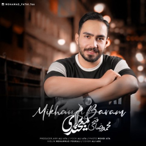 محمد رضا فتحی